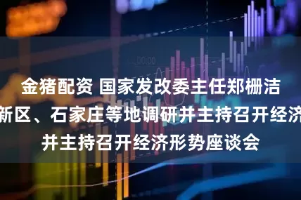 金猪配资 国家发改委主任郑栅洁赴河北雄安新区、石家庄等地调研并主持召开经济形势座谈会