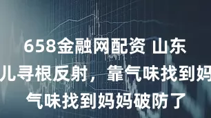 658金融网配资 山东医院新生儿寻根反射，靠气味找到妈妈破防了