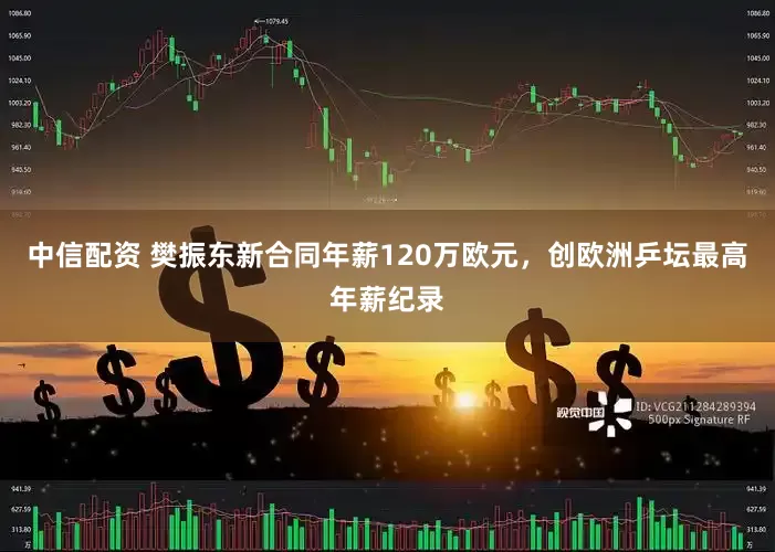 中信配资 樊振东新合同年薪120万欧元，创欧洲乒坛最高年薪纪录
